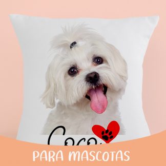 COJINES PARA MASCOTAS