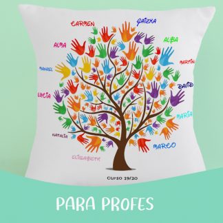 COJINES PARA PROFES
